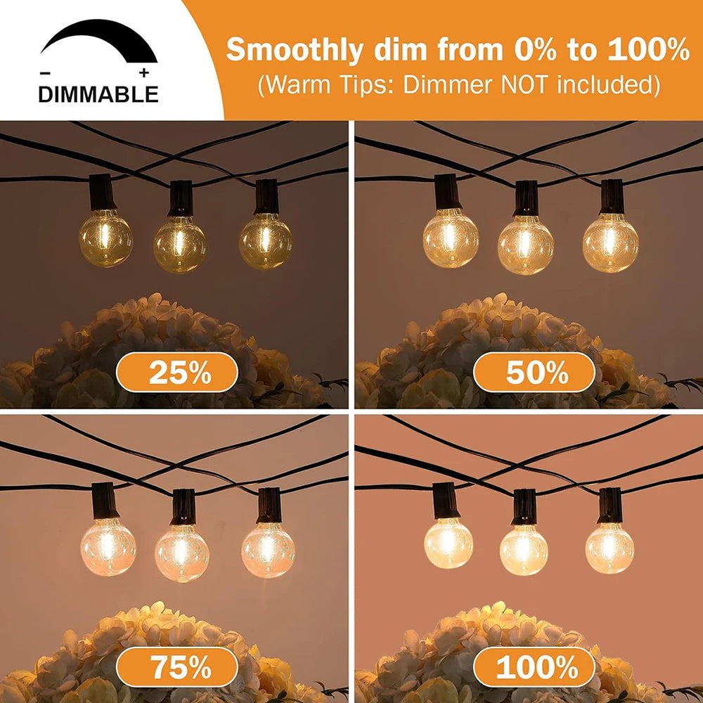 Festoon G40 LED Globe String Fairy Lights Outdoor Dimmable For Christmas Party Garden Decor Garland Lamp Street Patio Backyard